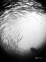 The vortex of Sipadan by Jimmy Low 